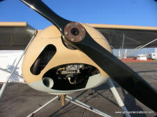 Criquet Storch pictures, images of the Criquet Storch LSA or lightsport aircraft - 2